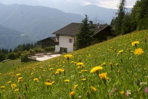 a field of yellow flowers in front of a house at Biogasthaus Plonerhof "sweet Dolomites view" in Bressanone +28 photos