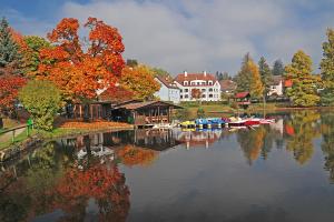 un lago con barcos, una casa y árboles en Hanko Martina, en Litschau
