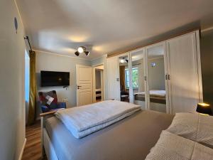 a bedroom with a large bed and a tv at Old Village House Brda in Kojsko