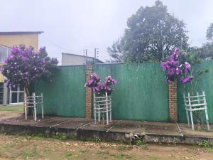 three chairs with purple flowers on them next to a fence at Pousada Padre Pio CE in São Benedito