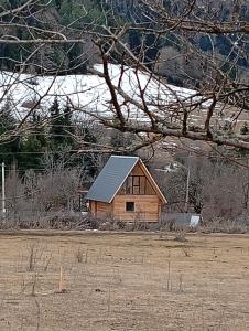 a small wooden house in the middle of a field at Borjomi Paradise in Borjomi