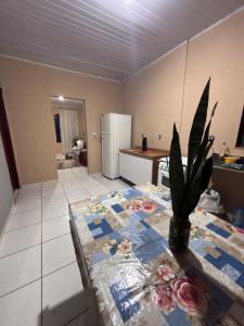 a kitchen with a table with a potted plant on it at Refúgio da Sombra House in Rondonópolis