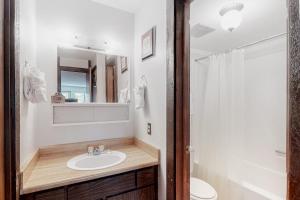 a bathroom with a sink and a toilet and a mirror at Wildernest Getaway in Silverthorne +16 photos