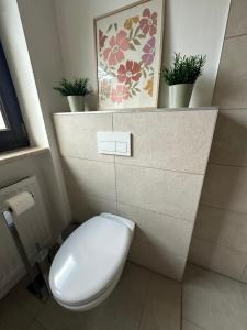 a bathroom with a toilet with plants on top of it at Ferienwohnung am Park in Brilon