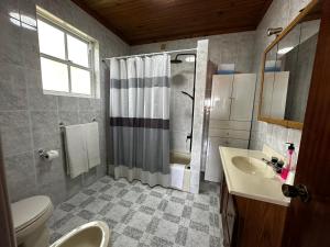 a bathroom with a shower and a sink and a toilet at Ron House in São Caetano