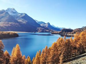 a view of a lake with mountains in the background at Apartment 4 Bettwohnung by Interhome in Sils Maria +22 photos