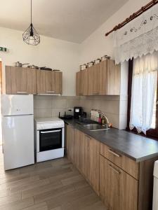 a kitchen with a white refrigerator and a sink at Naia House in Chorefto