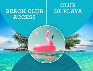 a pink flamingo in the water in front of a beach at PASADENA VIBES - VILLAS and SUITES - playa LOS CORALES in Punta Cana +60 photos