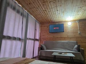a living room with a couch and a tv on a wall at Visi Cabins Bogë in Bogë