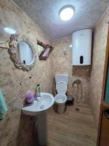 a bathroom with a sink and a toilet and a mirror at Visi Cabins Bogë in Bogë +16 photos