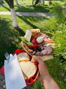 a person holding a plate of food on a table at Cabana Carolina in Laz