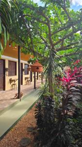 a house with a courtyard with a tree and plants at Vila Rudá - Alter do Chão in Alter do Chao +19 photos