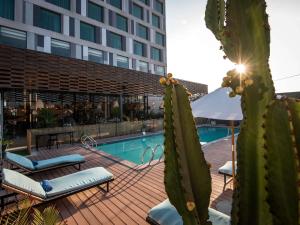 a cactus in front of a building with a pool at Novotel Arica in Arica