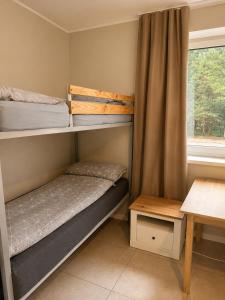 two bunk beds in a room with a window at Dom Winnica noclegi in Sochaczew