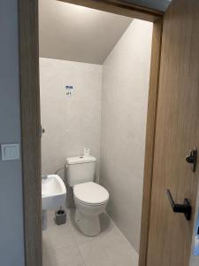 a bathroom with a toilet and a sink at Dom Winnica noclegi in Sochaczew