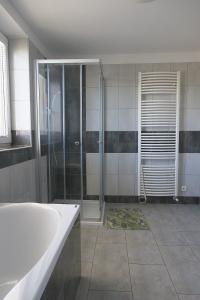 a bathroom with a shower and a sink at Apartmánový dům ROTOR in Kunowitz +23 photos