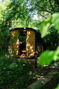 a wooden cabin with a door in a forest at Schuurtje bij de IJssel in Terwolde