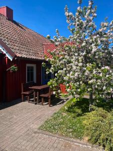 a picnic table and a tree in front of a house at Guest House Naglis in Neringa