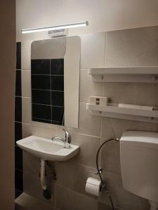 a bathroom with a sink and a mirror and a toilet at Cozy & modern apartment! in Kiaton