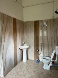a bathroom with a toilet and a sink at Kopou Homestay in Jorhat