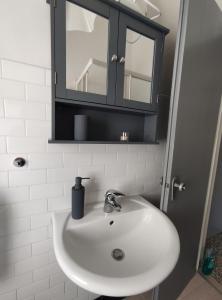 ein Waschbecken im Badezimmer mit einer Flasche Seife darauf in der Unterkunft Paloma-fly in Forlì