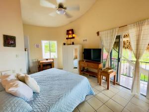 a bedroom with a bed and a television in it at Bungalow Kuaa in Puerto Ángel