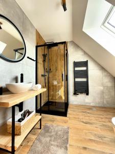 a bathroom with a shower with a sink and a mirror at Apartamenty 242E in Chochołów