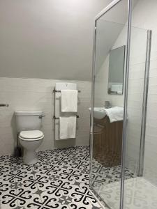 a bathroom with a toilet and a sink and a shower at Leac na Cille in Dingle +17 photos