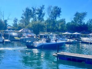 a group of boats docked at a dock in the water at Honey & Hook Tiny Home with Breakfast in St. Catharines