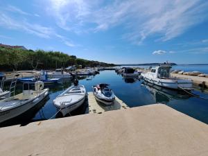 a group of boats are docked in a harbor at Olivus 3 in Miletići