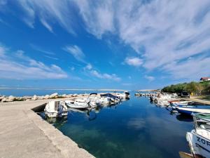 a bunch of boats are docked in a harbor at Olivus 3 in Miletići