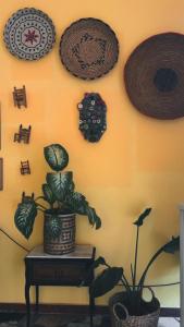 a wall with plates and plants on a wall at Casa di Nonna Vanda in Sestu +8 photos