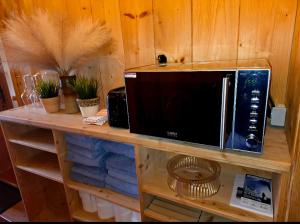 a microwave sitting on top of a wooden shelf at Sonnleit'n Zimmer 3 in Abtenau