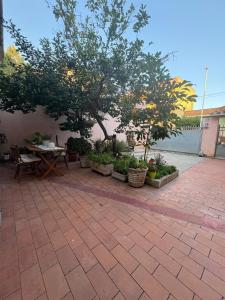 a patio with a table and trees and plants at Casa di Nonna Vanda in Sestu