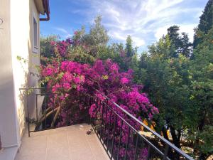 a bunch of purple flowers on a balcony at Trifilli in Lourdata +4 photos