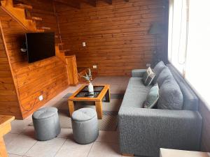 a living room with a couch and a tv at Huet Huet in Villa La Angostura