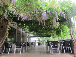 a patio with chairs and trees with purple flowers at Ático Yuly in Rianjo