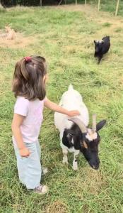 a little girl petting a black and white goat at Domaine Ecoline in Sadirac