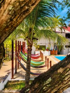 a palm tree with hammocks next to a pool at CasaBosque in Tarapoto