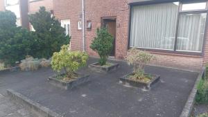 three potted trees in concrete planters in front of a building at Brothers Homestay in Best