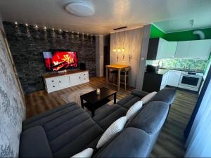 a living room with a couch and a tv at Green- Guest Apartment- Tapa in Tapa