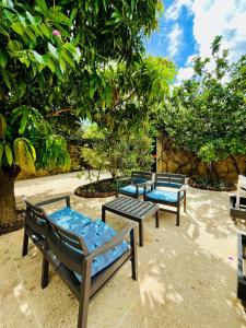 a group of benches sitting in front of a tree at Villa DOUDOU in Somone