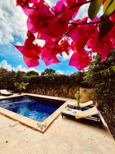 a view of a swimming pool with pink flowers at Villa DOUDOU in Somone