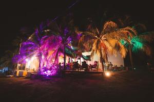 a group of people sitting under palm trees at night at Tipsy Gypsy Bar & Hotel in Tola +25 photos