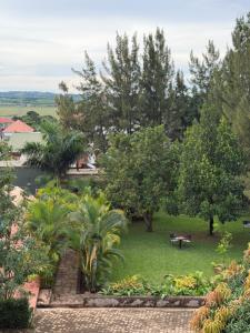 a view of a park with a bench and trees at Bubuli country club in Lyamutundwe