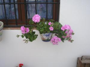 Zdjęcie z galerii obiektu Casa Rural y Restaurante Casa Adriano w mieście Alanís