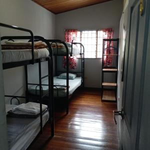 a room with three bunk beds and a window at Hostel Casa Ridgway in San José +82 photos