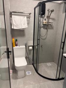 a bathroom with a shower and a toilet in it at Serenity Spot - Cozy 1 bedroom with AC and Heater with City View in Nairobi, Westlands in Nairobi +19 photos