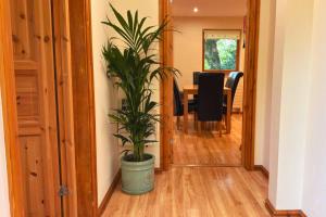 a plant in a pot in a hallway with a table at Scandi Style Bracken Lodge with Private Decking Sleeps 6 in Chudleigh Knighton