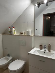 a bathroom with a toilet and a sink and a mirror at Il Nido in Anghiari